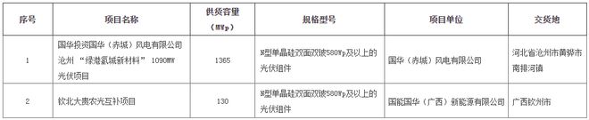 凯发k8一触即发国家能源集团165GW N型组件集采招标！